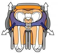 MyGo Seating System LECKEY