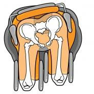 MyGo Seating System LECKEY